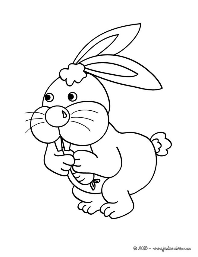 LAPIN à colorier