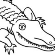 Egalement dans Coloriage CROCODILE