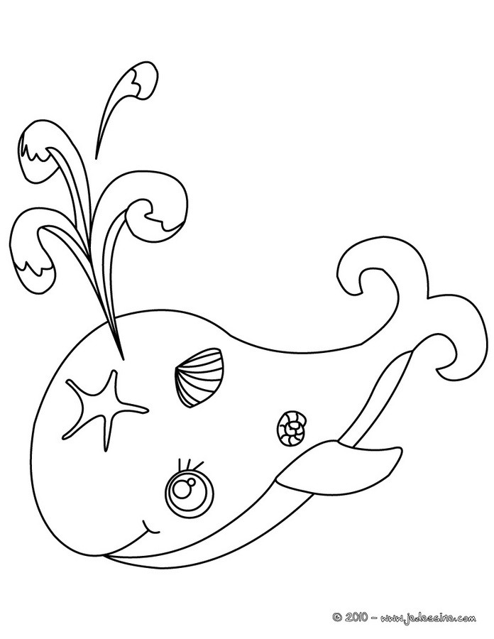 Coloriage d'une baleine bleue