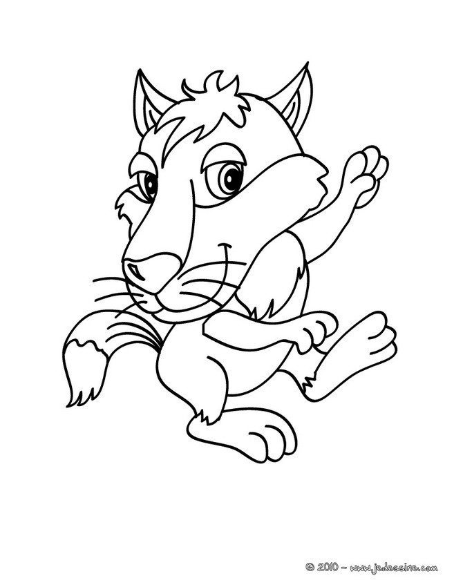 Coloriage d'un bébé loup