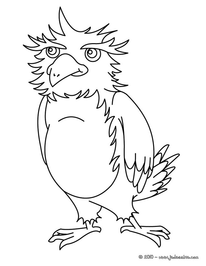 AIGLE à colorier