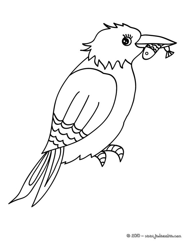 Coloriage d'un MARTIN-PECHEUR