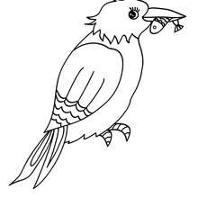 coloriages le vol du pigeon de la paix fr hellokids com coloriage motif broderie jardin potager