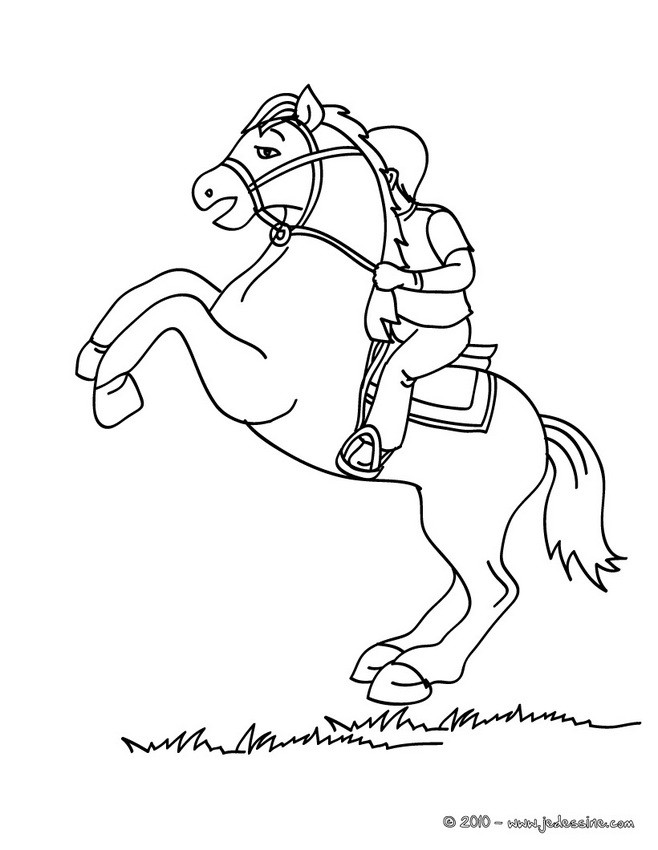 Coloriage d'un cheval cabré