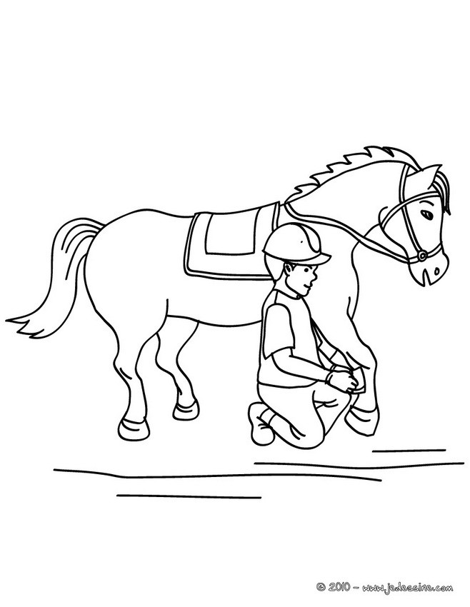 ENTRETIEN d'un CHEVAL à colorier