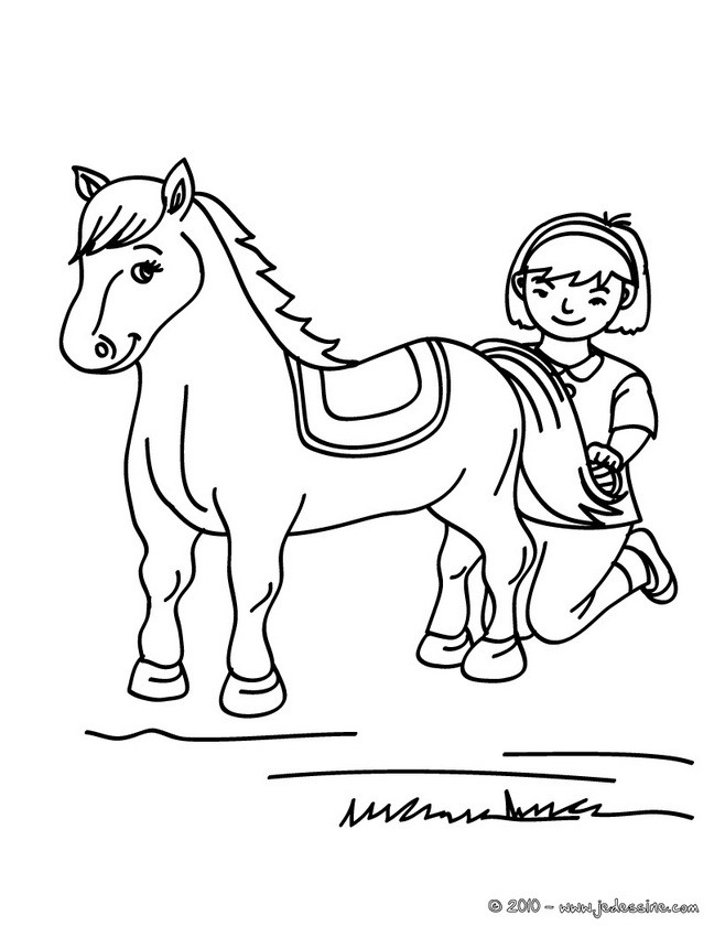 Coloriage d'un cheval brossé
