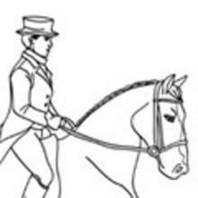 Egalement dans Coloriage DRESSAGE