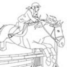 Coloriage JUMPING