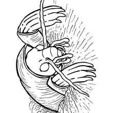 Coloriage COURTILIERE - Coloriage - Coloriage ANIMAUX - Coloriage INSECTE - Coloriages Insects&Co