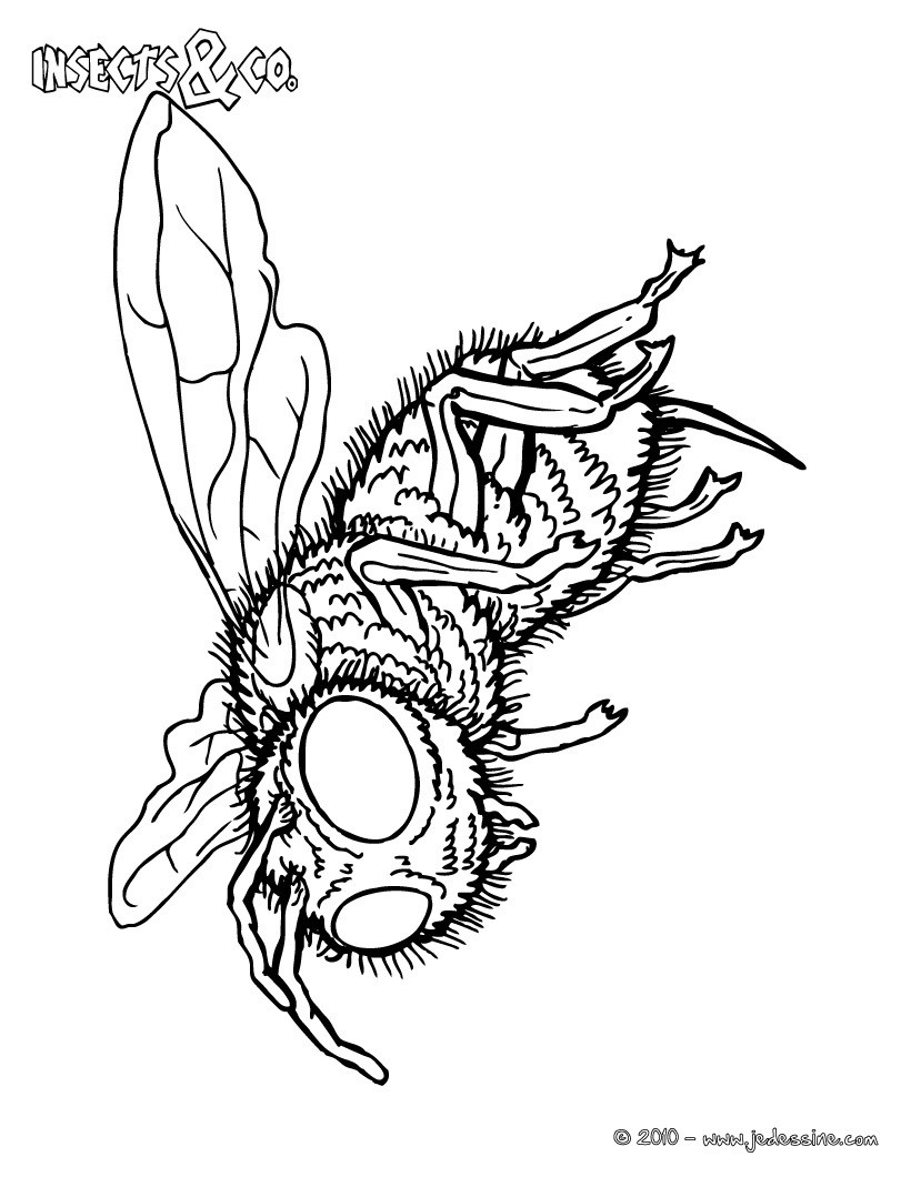 Coloriage MUTILE