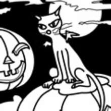 Egalement dans Coloriage CHAT HALLOWEEN
