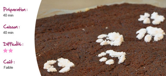 Recette : Gâteau au chocolat des châtons
