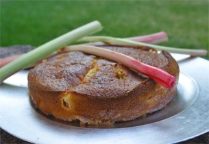Recette : Gâteau tendre à la rhubarbe