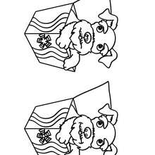 Chiot boîte 5 différences - Jeux - Jeux des différences en ligne - Différences niveau facile