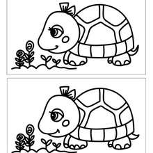 Tortue fleur 5 différences - Jeux - Jeux des différences en ligne - Différences niveau facile