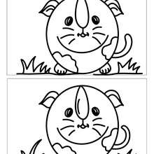 Hamster 5 différences