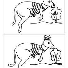 Kangourou rayé 5 différences
