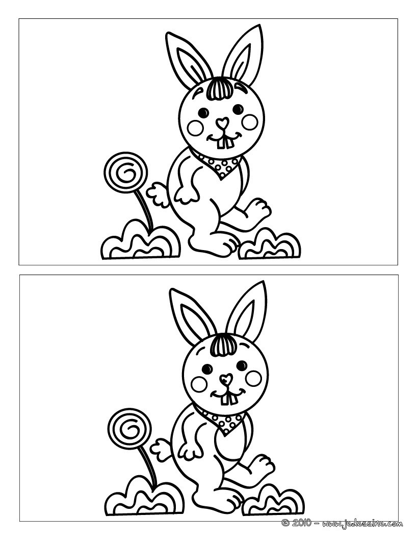 Lapin sucette 5 différences