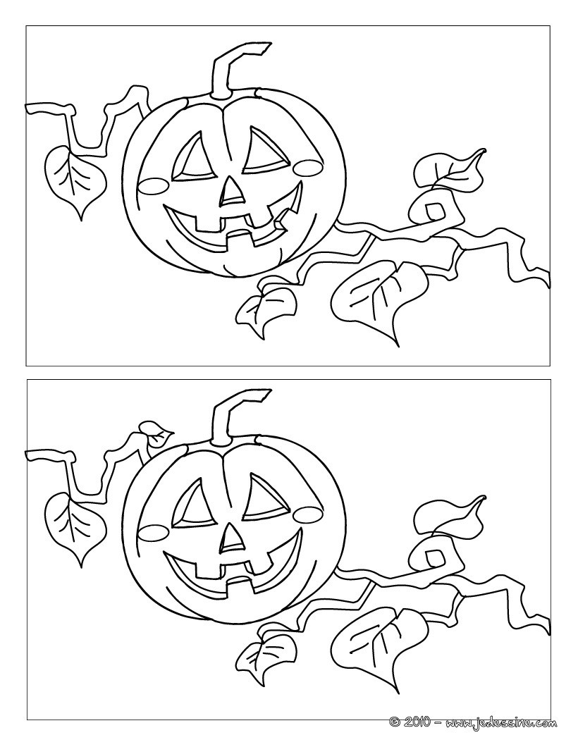 Citrouille 5 différences