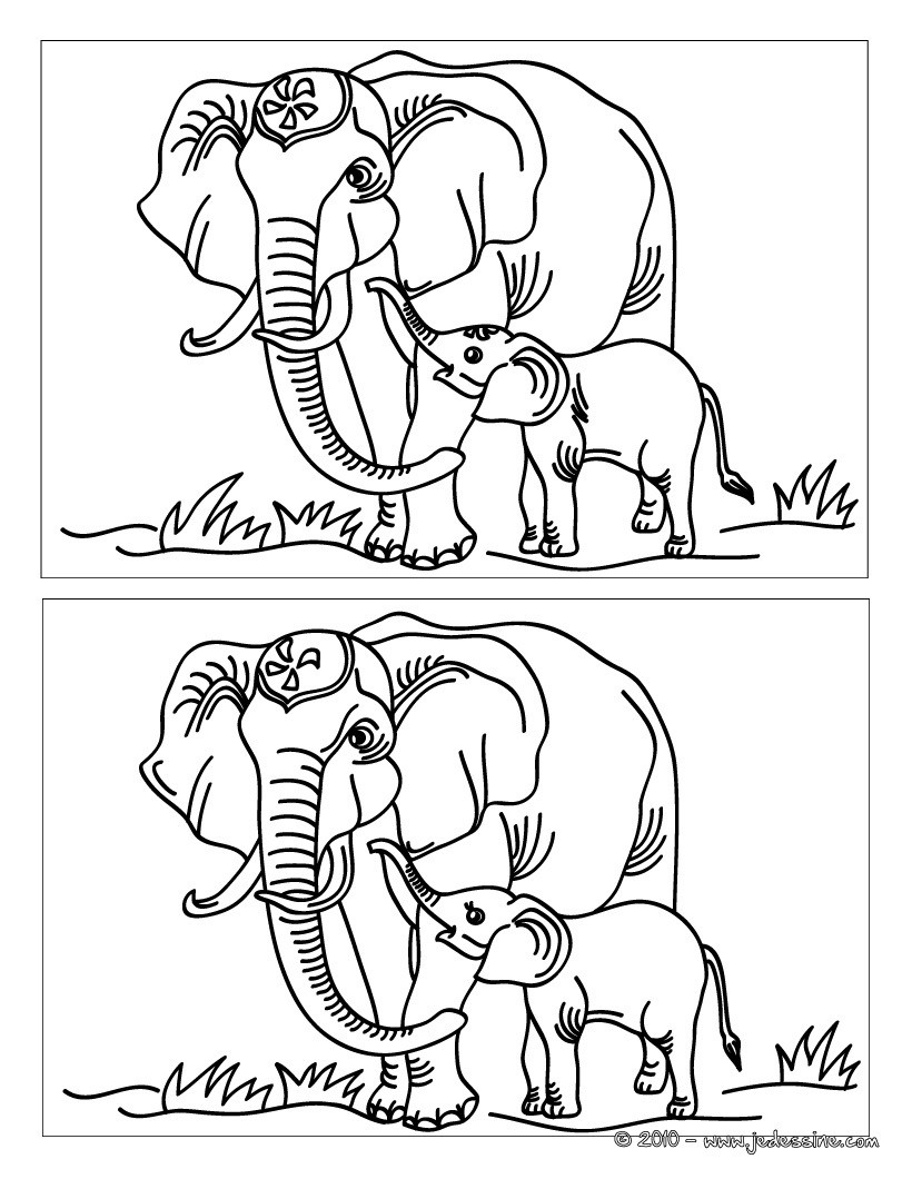 Eléphant et son petit 12 différences