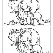 Eléphant et son petit 12 différences - Jeux - Jeux des différences en ligne - Différences niveau difficile