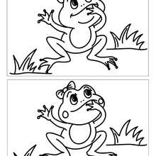 Grenouille rigolote 10 différences - Jeux - Jeux des différences en ligne - Différences niveau moyen