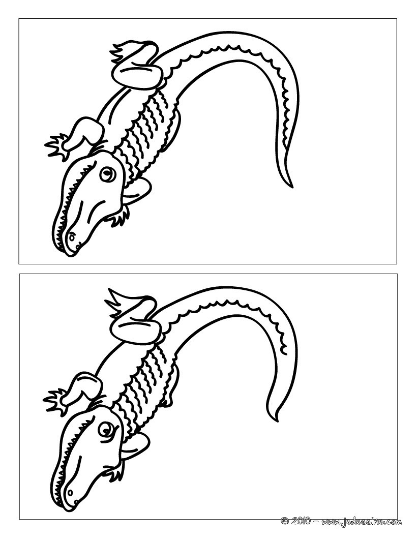 Crocodile 12 différences