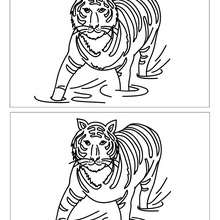 Tigre 12 diff�rences - Jeux - Jeux des diff�rences en ligne - Diff�rences niveau difficile