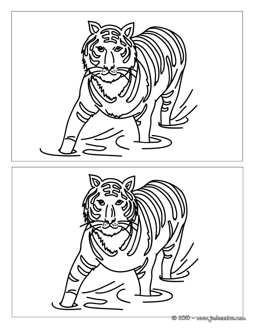 Tigre 12 différences