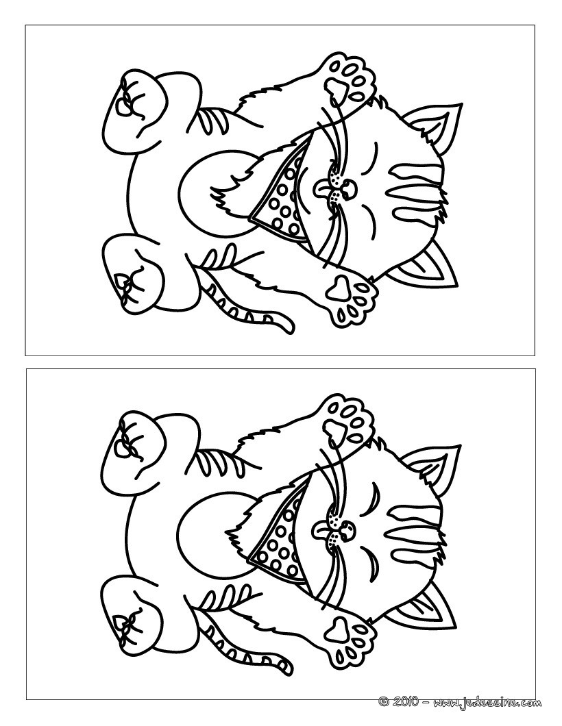 Chaton rayé 10 différences