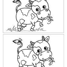 Vachette 5 diff�rences