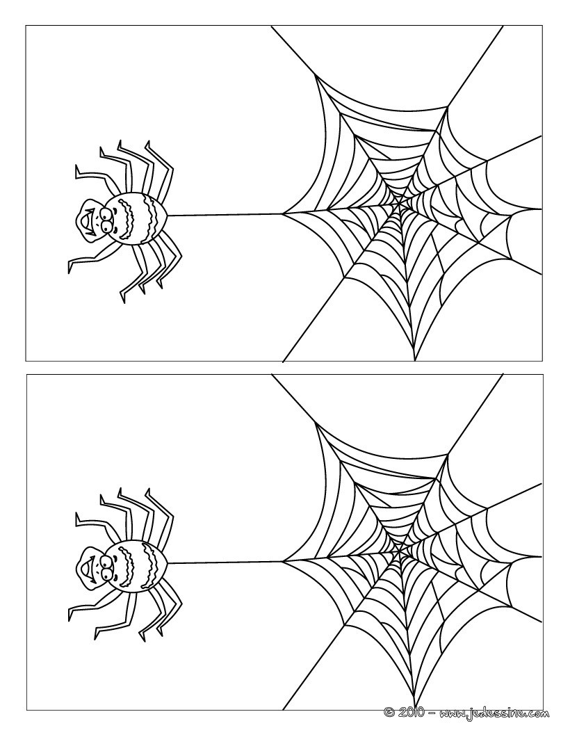 Araignée sur la toile 10 différences