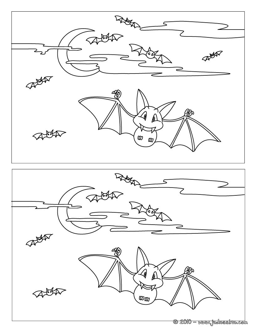 Chauve-souris en vol 10 différences