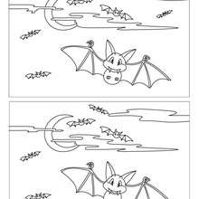 Chauve-souris en vol 10 différences - Jeux - Jeux des différences en ligne - Différences niveau moyen