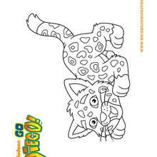 Coloriage Tigre de DIEGO - Coloriage - Coloriage DIEGO