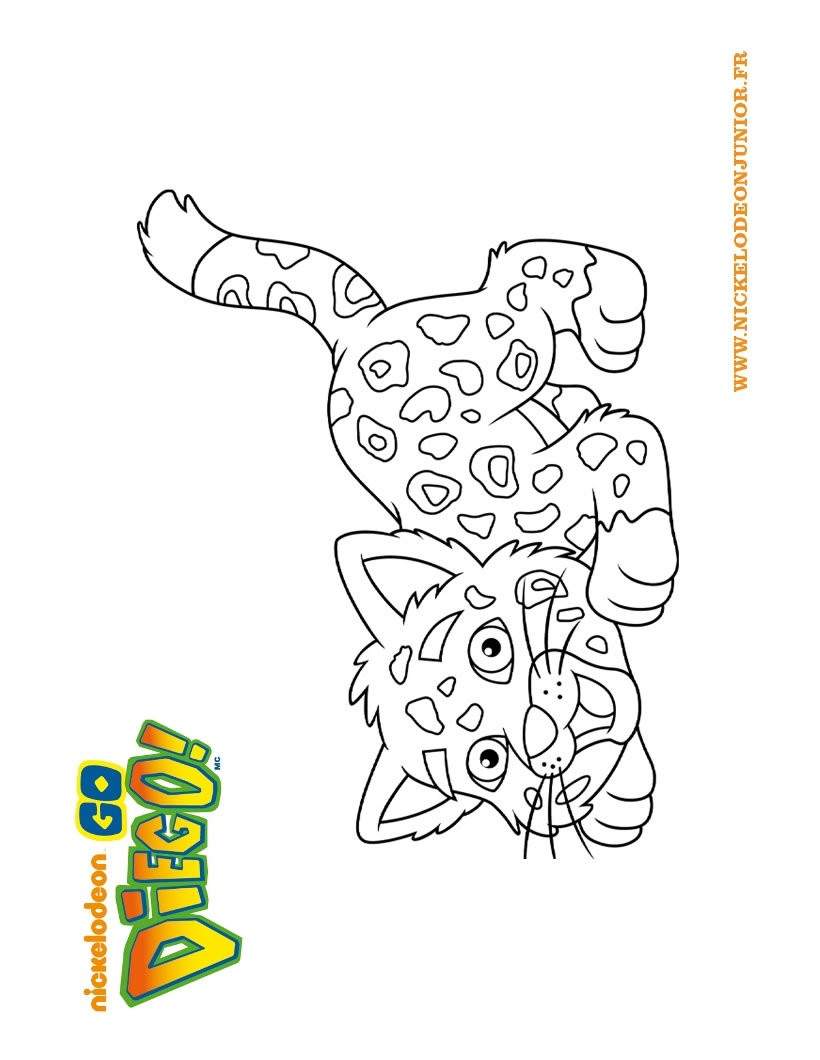 Coloriage Tigre de DIEGO