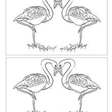 Jeux des 10 différences flamands roses - Jeux - Jeux des fêtes - Jeux de la Saint-Valentin - Jeux des différences Saint Valentin