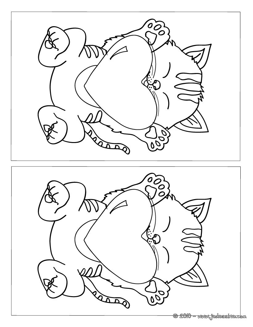 Jeux des 12 différences chaton coeur