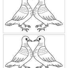 Jeux des 10 différences pigeons
