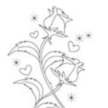 Coloriage des roses de la Saint-Valentin - Coloriage - Coloriage FETES - Coloriage SAINT VALENTIN - Coloriage ROSE SAINT VALENTIN
