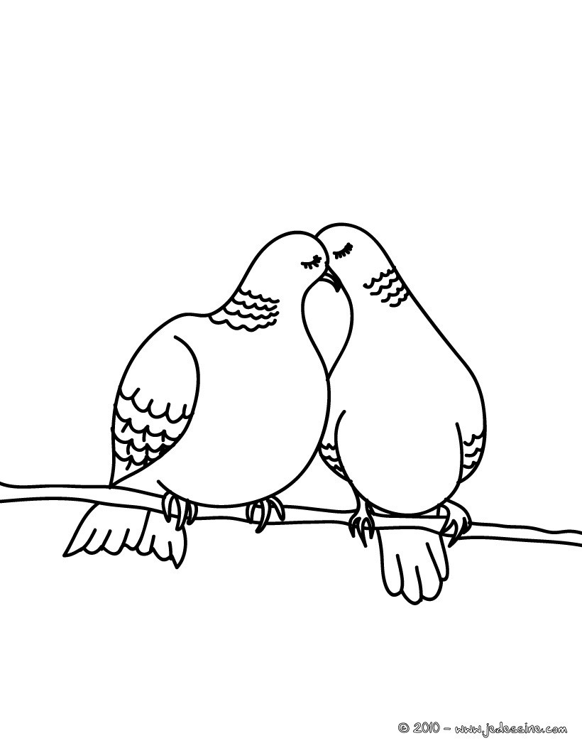 Coloriage pigeons amoureux   imprimer Coloriage couple pigeons gratuit