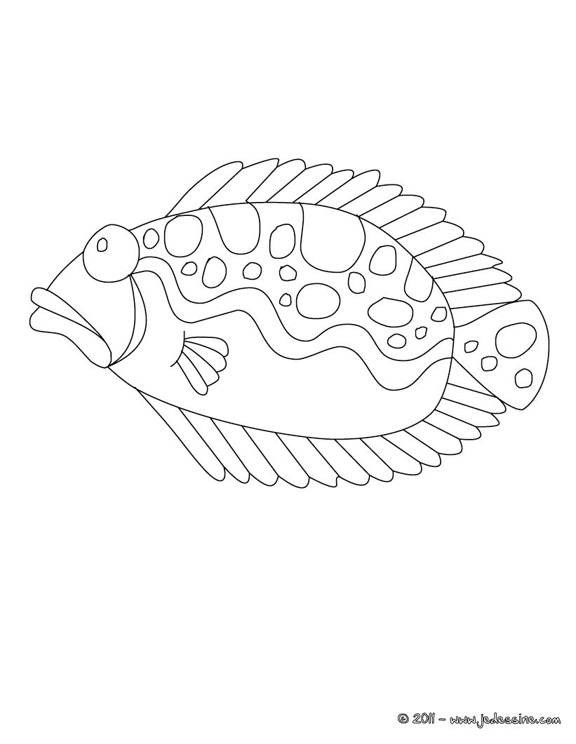 Coloriage Poisson plat   colorier en ligne