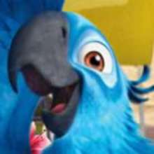 BLU - Ara de Spix bleu