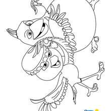 Coloriage de RIO - NICO et PEDRO - Coloriage - Coloriage PERSONNAGE FILM - Coloriage RIO