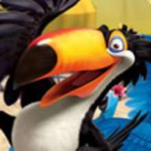 RAFAEL - Toucan