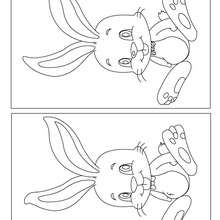 Lapin de Pâques jeu des différences