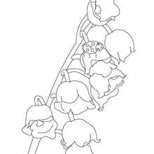 Coloriage Brin De Muguet A Imprimer