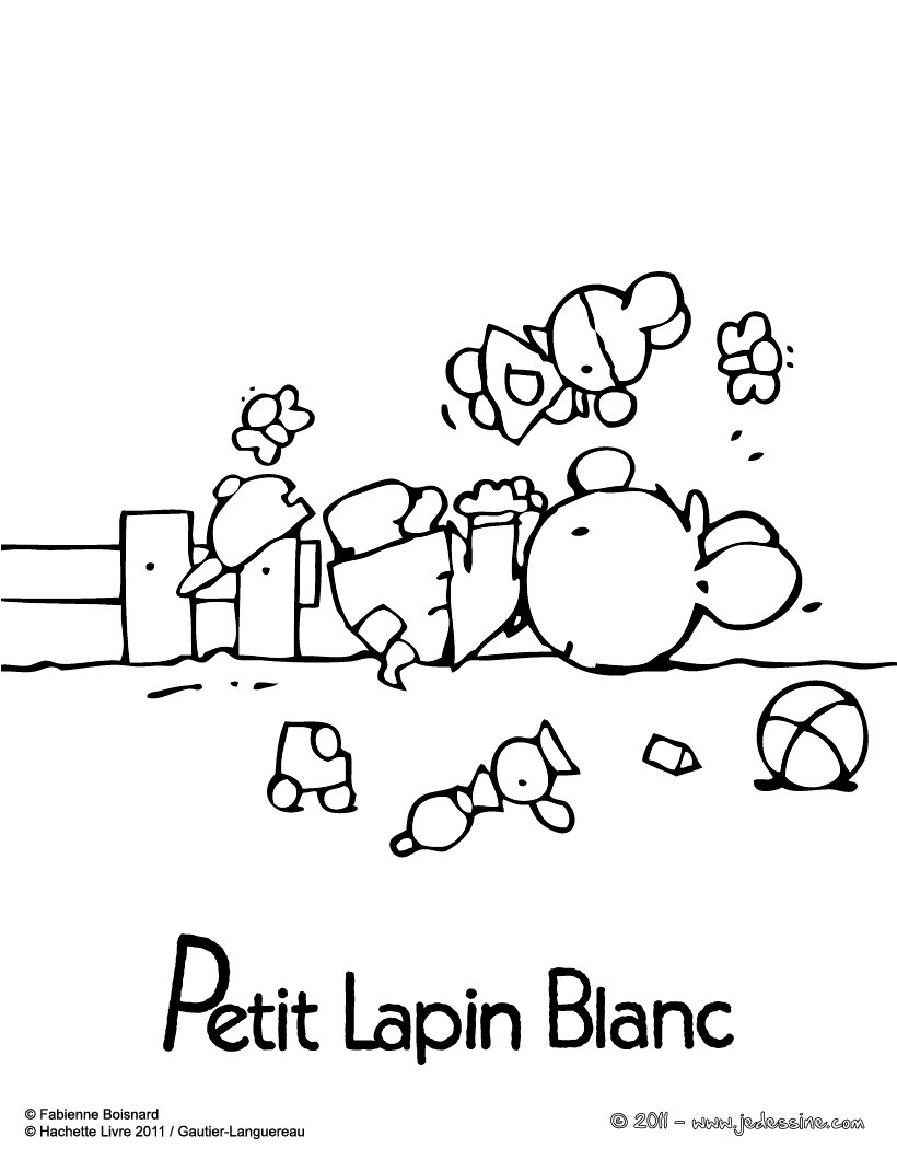 PETIT LAPIN BLANC à dessiner