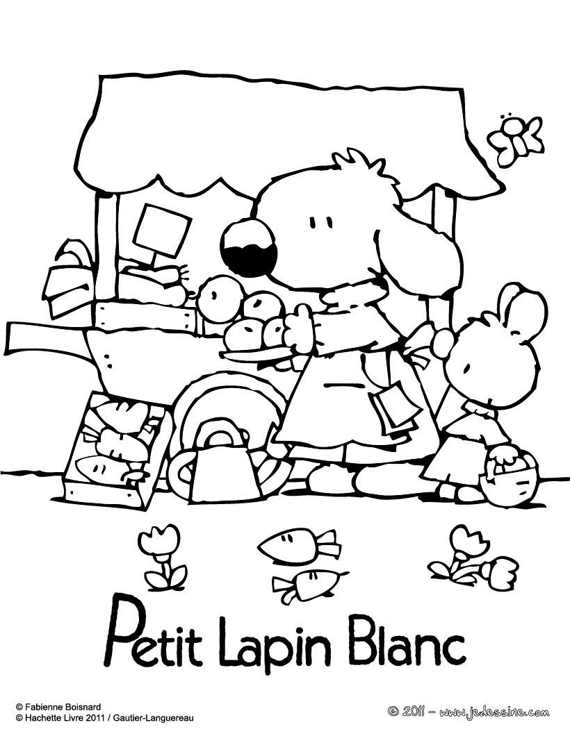 PETIT LAPIN BLANC au marché
