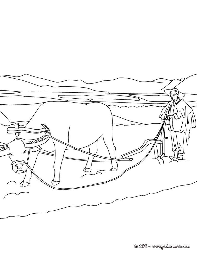 Coloriage gratuit ELEVEUR